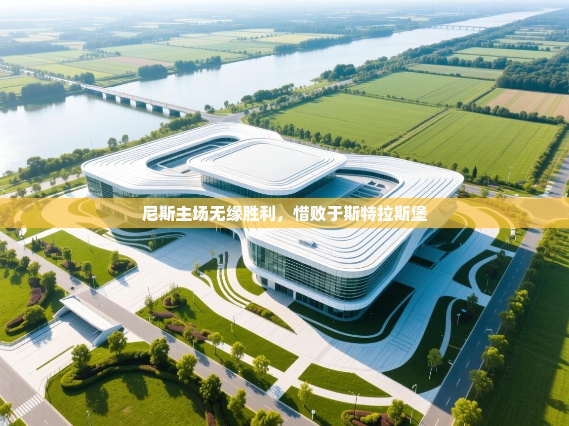 尼斯主场无缘胜利，惜败于斯特拉斯堡  第2张