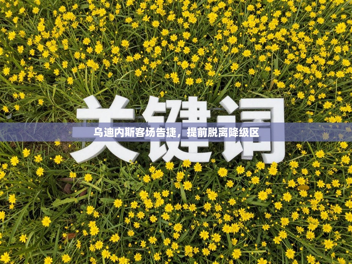 乌迪内斯客场告捷，提前脱离降级区  第1张