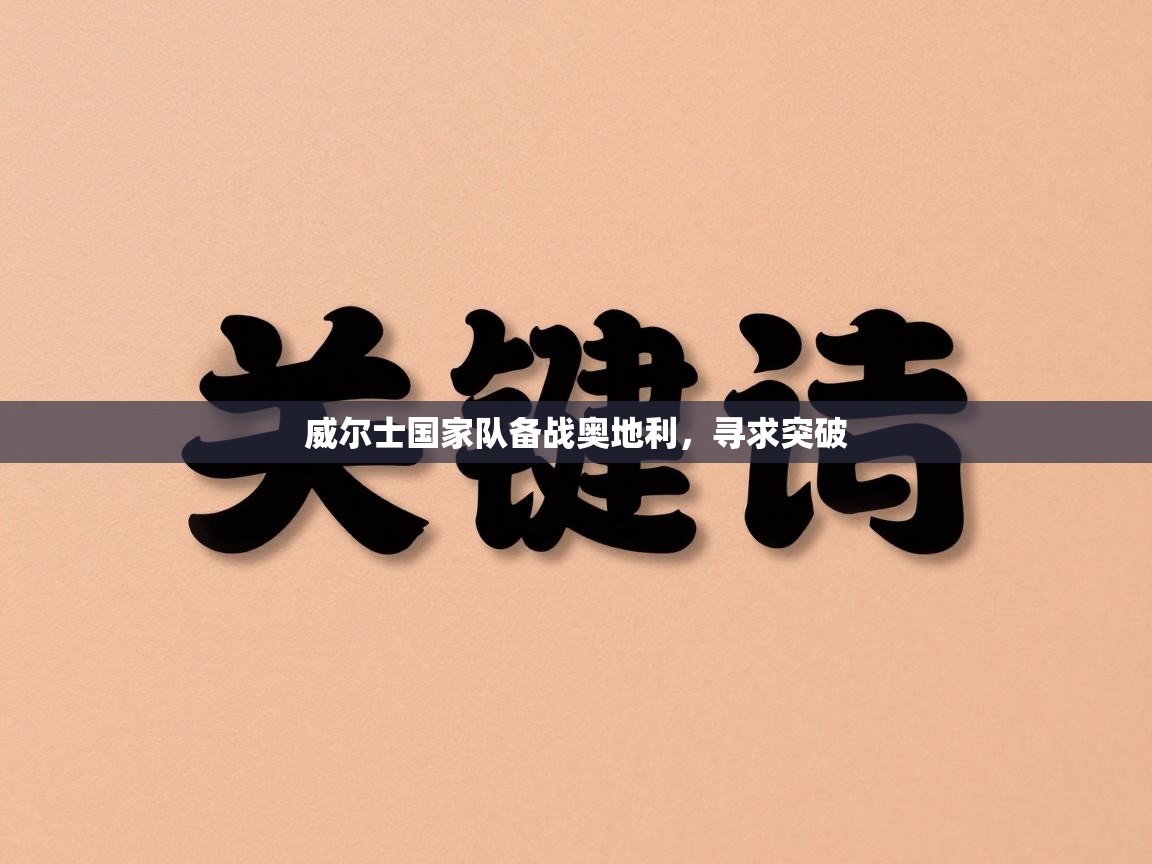 威尔士国家队备战奥地利,寻求突破 第1张