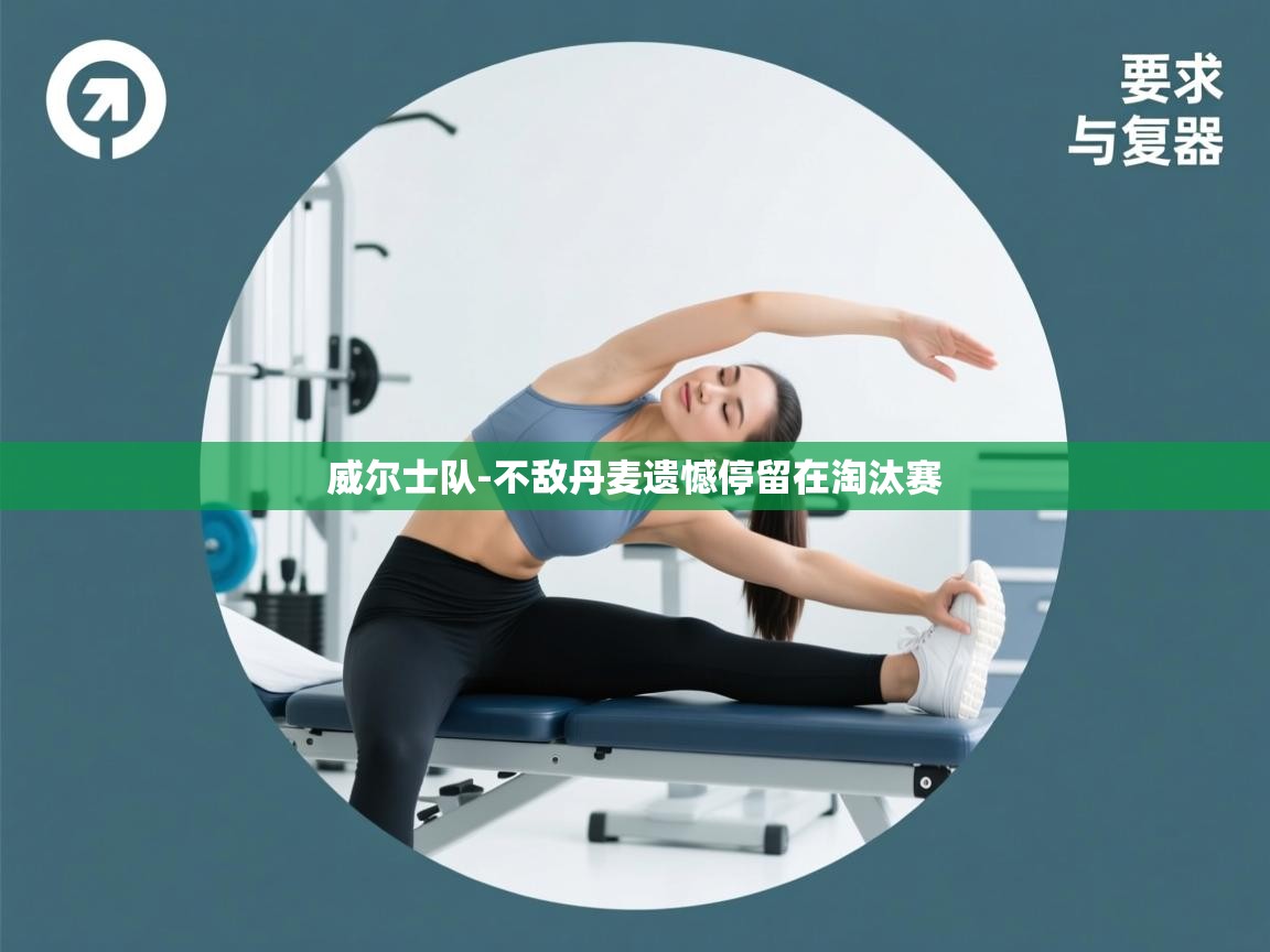 威尔士队-不敌丹麦遗憾停留在淘汰赛  第2张